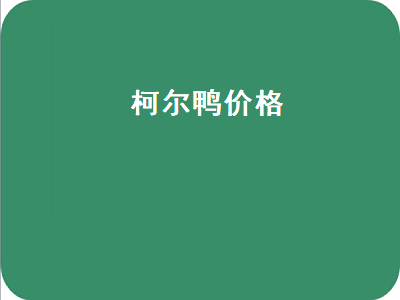 柯尔鸭价格（柯尔鸭价格多少钱一只）