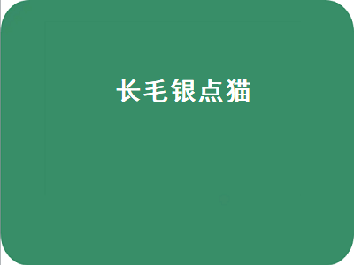 长毛银点猫（长毛银点猫价位一般在多少）