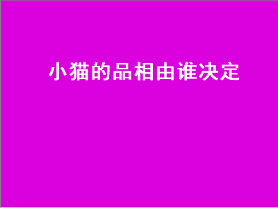 小猫的品相由谁决定（小猫的品相由谁决定的）