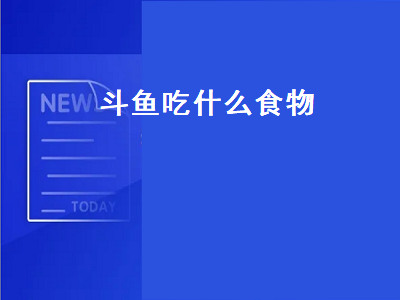 斗鱼吃什么食物（斗鱼吃什么食物尾巴才漂亮）