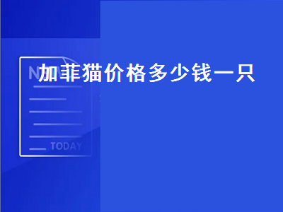 加菲猫价格多少钱一只（加菲猫价格多少钱一只血统纯正）