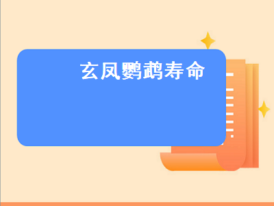 玄凤鹦鹉寿命（玄凤鹦鹉寿命最长可以活多少年）