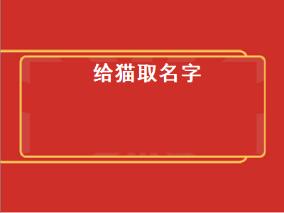 给猫取名字（兔年给猫取名字）