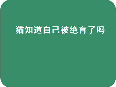 猫知道自己被绝育了吗（猫知道自己被绝育了吗 知乎）