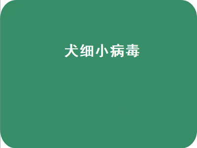 犬细小病毒（犬细小病毒会传染人吗）