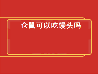 仓鼠可以吃馒头吗（仓鼠可以吃馒头吗的短视频）