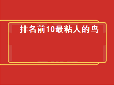 排名前10最粘人的鸟（排名前10最粘人的鸟 玄凤）