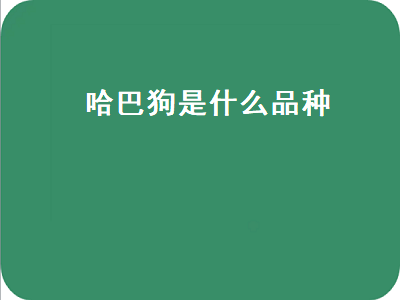 哈巴狗是什么品种（哈巴狗是什么品种的狗）