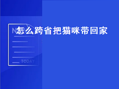 怎么跨省把猫咪带回家（怎么跨省把猫咪带回家坐飞机）