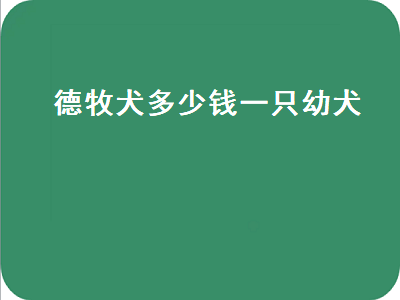 德牧犬多少钱一只幼犬（纯种德牧犬多少钱一只幼犬）