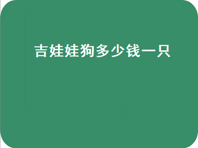 吉娃娃狗多少钱一只（吉娃娃狗多少钱一只图片）