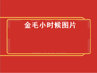 金毛小时候图片（金毛小时候图片一个月）