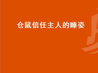 仓鼠信任主人的睡姿（仓鼠信任主人的睡姿图片）