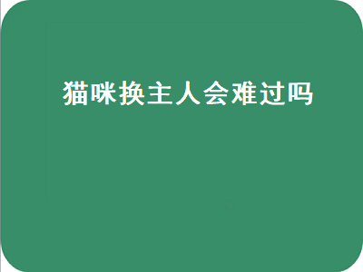 猫咪换主人会难过吗（养了两年的猫咪换主人会难过吗）