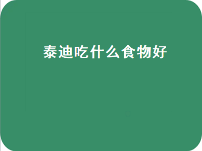 泰迪吃什么食物好（泰迪吃什么食物好消化）