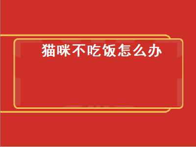 猫咪不吃饭怎么办（猫咪不吃饭怎么办现在都瘦了）