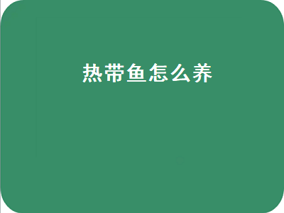 热带鱼怎么养（热带鱼怎么养才能活得长久）