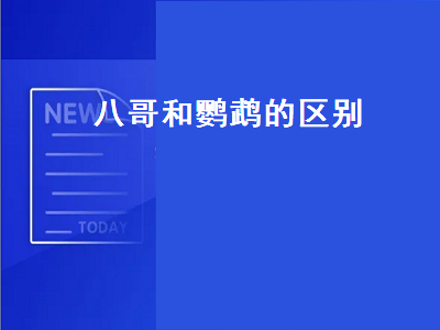 八哥和鹦鹉的区别（八哥和鹦鹉的区别能学说话吗）