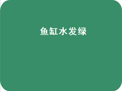 鱼缸水发绿（鱼缸水发绿是什么原因怎么解决）