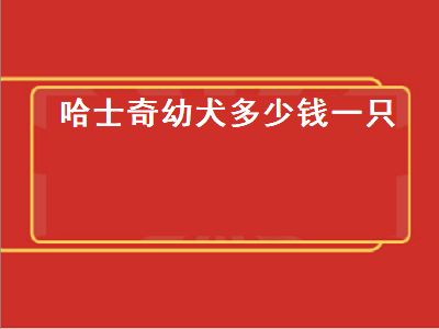 哈士奇幼犬多少钱一只（哈士奇幼犬多少钱一只最便宜）