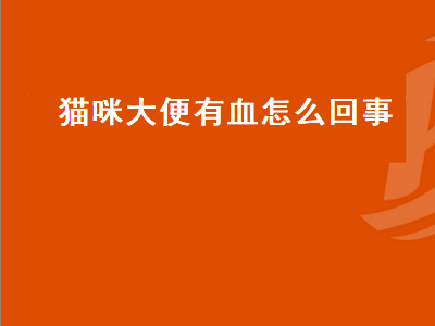 猫咪大便有血怎么回事（猫咪大便有血怎么回事但是精神好）