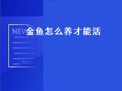 金鱼怎么养才能活（金鱼怎么养才能活得长久）