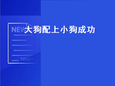 大狗配上小狗成功（大狗配上小狗成功的表现）