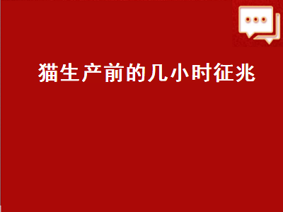 猫生产前的几小时征兆（猫生产前的几小时征兆是不是老叫）