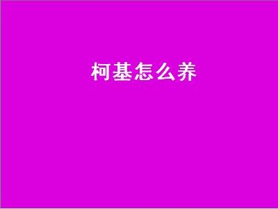 柯基怎么养（柯基怎么养 两个月）