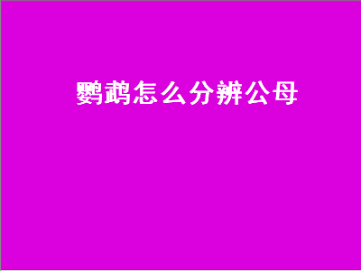 鹦鹉怎么分辨公母（鹦鹉怎么分辨公母图片）