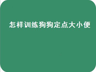 怎样训练狗狗定点大小便（怎样训练狗狗定点大小便教程）