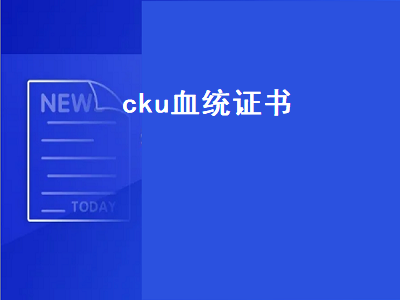 cku血统证书（cku血统证书多少钱）