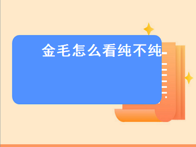 金毛怎么看纯不纯（金毛怎么看纯不纯图解）