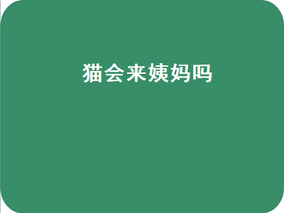 猫会来姨妈吗（猫会来姨妈吗会流血吗）