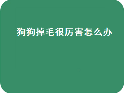 狗狗掉毛很厉害怎么办（冬天狗狗掉毛很厉害怎么办）