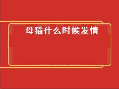 母猫什么时候发情（母猫什么时候发情）