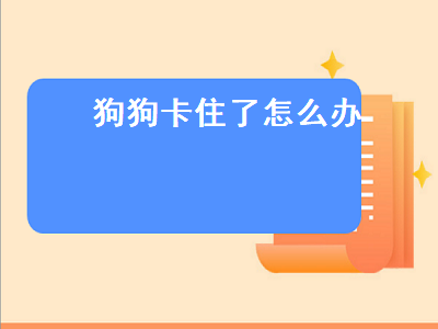 狗狗卡住了怎么办（被家里的狗狗卡住了怎么办）