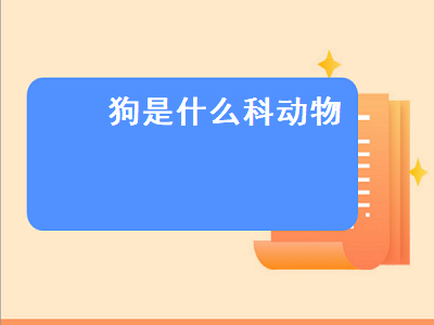 狗是什么科动物（狼是什么科动物）