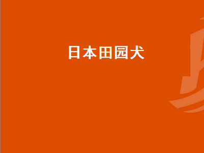 日本田园犬（日本田园犬是什么狗）