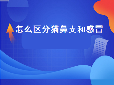 怎么区分猫鼻支和感冒（怎么区别猫鼻支和感冒）