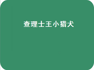 查理士王小猎犬（查理士王小猎犬多少钱）