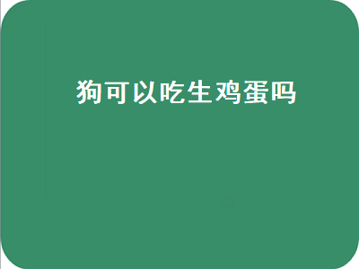 狗可以吃生鸡蛋吗（泰迪狗可以吃生鸡蛋吗）