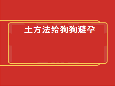 土方法给狗狗避孕（土方法给狗狗避孕药物）