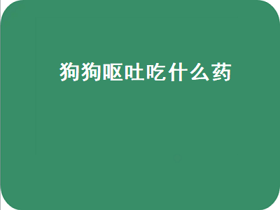 狗狗呕吐吃什么药（狗狗呕吐吃什么药最好）