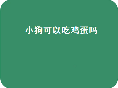 小狗可以吃鸡蛋吗（小狗可以吃鸡蛋吗蛋清还是蛋黄）