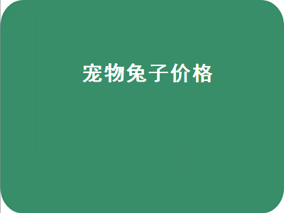 宠物兔子价格（宠物兔子价格多少钱一只）