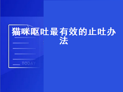 猫咪呕吐最有效的止吐办法（猫咪呕吐最有效的止吐办法视频）