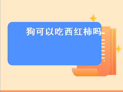 狗可以吃西红柿吗（泰迪狗可以吃西红柿吗）