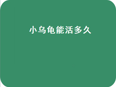 小乌龟能活多久（5元的小乌龟能活多久）