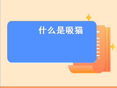 什么是吸猫（什么是吸猫,吸猫是什么意思）